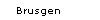 Brusgen