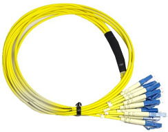 Fiber Pigtail LCUPCx12