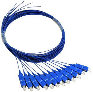 Fiber Pigtail SCPCx12